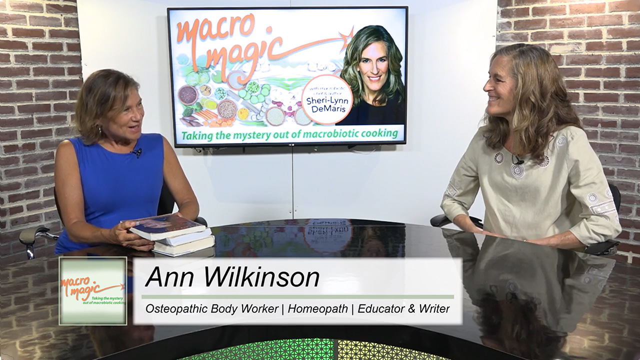 Ann Wilkinson on the Macro Magic podcast